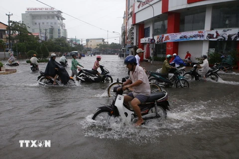 Cảnh ngập trên đường Trần Phú, thành phố Bạc Liêu sau con mưa lớn hồi tháng 11/2014. (Ảnh: Duy Khương/TTXVN)