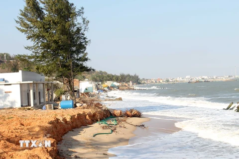 Bờ biển tỉnh Bình Thuận đang bị xâm thực nghiêm trọng. (Ảnh: Nguyễn Thanh/TTXVN)