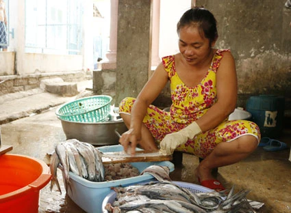 Công đoạn nạo lấy thịt của cá đòi hỏi sự tỉ mỉ, cẩn thận. (Nguồn: baobariavungtau.com.vn)