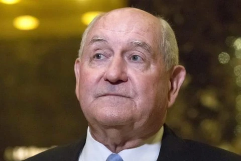Cựu Thống đốc bang Georgia, ông Sonny Perdue, được đề cử vào vị trí Bộ trưởng Nông nghiệp. (Nguồn: EPA)