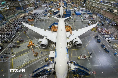 Máy bay Boeing 787 Dreamliner tại nhà máy Everett 787 ở Washington, Mỹ. (Nguồn: AFP/TTXVN)
