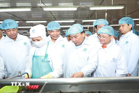 Thủ tướng Nguyễn Xuân Phúc đến thăm Tập đoàn thủy sản Minh Phú. (Ảnh: Thống Nhất/TTXVN)