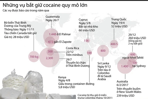 [Infographics] Điểm mặt các vụ bắt giữ cocaine lớn trong năm qua