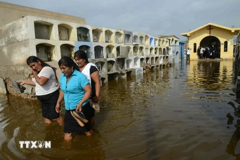 Cảnh ngập lụt do mưa lớn gây ra ở Tucume, cách thủ đô Lima 700km về phía Bắc. (Nguồn: AFP/TTXVN)