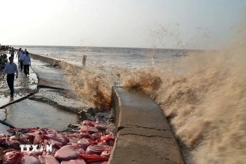 Sóng biển đánh mạnh khiến kè Gành Hào có nguy cơ tiếp tục sạt lở. (Ảnh: Nguyễn Thanh Liêm/TTXVN)
