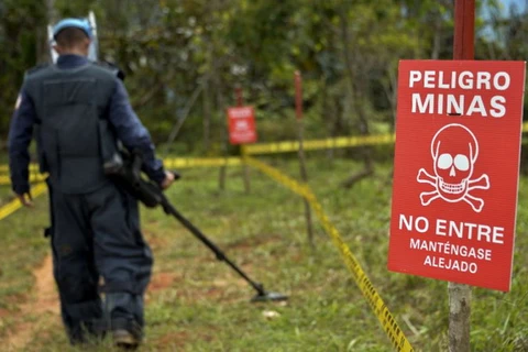 Tiến hành rà phá bom mìn ở Colombia. (Nguồn: AFP)