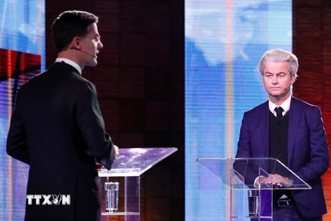 Cuộc tranh luận trên truyền hình giữa Thủ tướng Hà Lan Mark Rutte (trái) và đối thủ Geert Wilders. (Nguồn: AFP/TTXVN)
