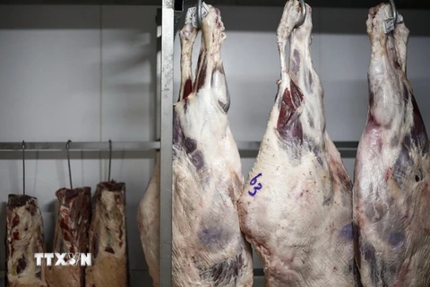 Thịt bày bán tại một cửa hàng ở Sao Paulo, Brazil. (Nguồn: AFP/TTXVN)