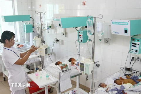Chăm sóc trẻ sơ sinh tại Bệnh viên đa khoa tỉnh Quảng Trị. (Ảnh: Hồ Cầu/TTXVN)