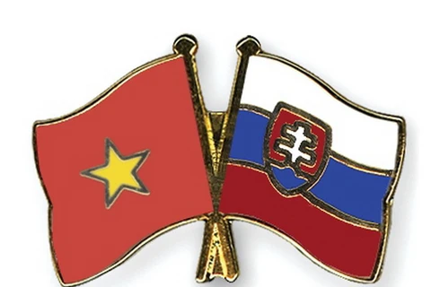 Đại hội đại biểu toàn quốc Hội Hữu nghị Việt Nam-Slovakia