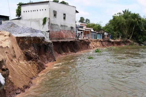 An Giang: Dự báo vụ sạt lở đất ở sông Hậu còn tiếp diễn nghiêm trọng