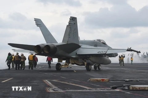 Máy bay chiến đấu F/A-18C Hornet đậu trên tàu sân bay USS Carl Vinson. (Nguồn: AFP/TTXVN)