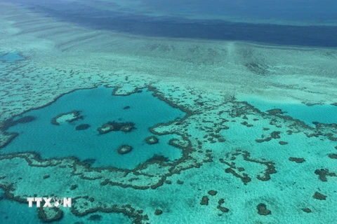 Toàn cảnh rạn san hô nổi tiếng Great Barrier. (Nguồn: AFP/TTXVN)
