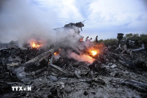 Hiện trường vụ rơi máy bay MH17 ở gần Donetsk, Ukraine. (Nguồn: EPA/TTXVN)