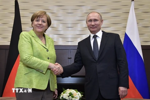 Tổng thống Nga Vladimir Putin (phải) tiếp Thủ tướng Đức Angela Merkel tại thành phố Sochi. (Nguồn: EPA/TTXVN)