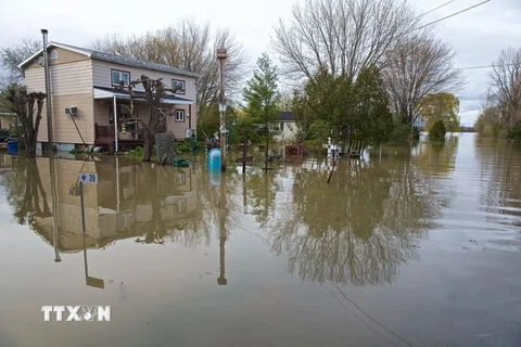 Cảnh ngập lụt tại Rigaud, tỉnh Quebec. (Nguồn: EPA/TTXVN)