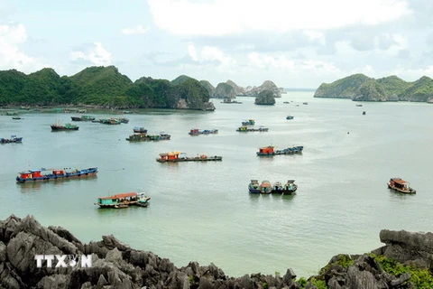 Tàu thuyền neo đậu trên vịnh Lan Hạ thuộc thị trấn Cát Bà. (Ảnh: Quang Quyết/TTXVN)