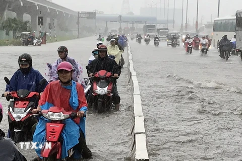 Mưa ngập trên đường xa lộ Hà Nội, Thành phố Hồ Chí Minh khiến các phương tiện bị chết máy. (Nguồn: TTXVN)