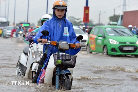 Mưa ngập trên đường xa lộ Hà Nội khiến các phương tiện bị chết máy. (Nguồn: TTXVN)