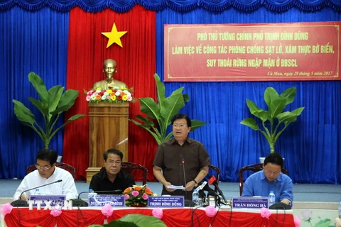 Phó Thủ tướng Trịnh Đình Dũng phát biểu tại buổi làm việc. (Ảnh: Kim Há/TTXVN)