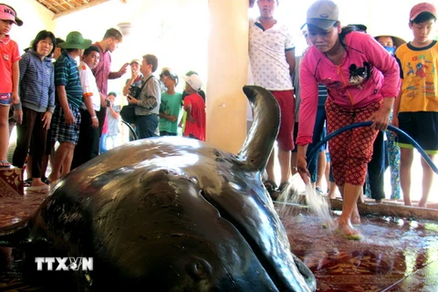 Cá voi được ngư dân đưa vào Lăng Ông của thôn Long Thủy xã An Phú, thành phố Tuy Hòa để an táng theo nghi thức truyền thống của người dân vùng biển. (Ảnh: Thế Lập/TTXVN)