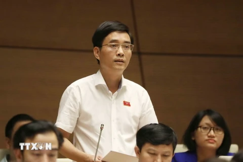 Đại biểu Quốc hội tỉnh Phú Thọ Hoàng Quang Hàm phát biểu ý kiến. (Ảnh: Phương Hoa/TTXVN)