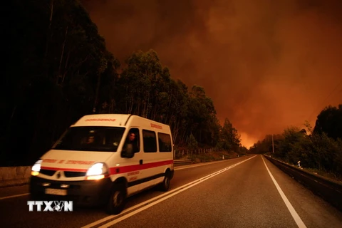 Hiện trường vụ cháy rừng ở Pedrogao Grande. (Nguồn: EPA/TTXVN)