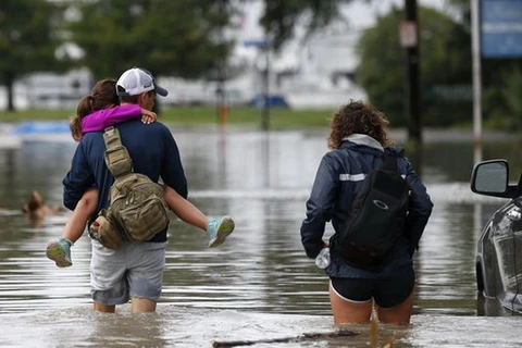 Cảnh ngập lụt do bão Cindy gây ra tại New Orleans. (Nguồn: AP)