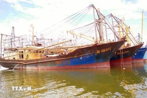 Hàng loạt tàu vỏ thép của ngư dân Bình Định bị hư hỏng phải nằm ở cảng cá Quy Nhơn chờ sửa chữa. (Ảnh: Nguyên Linh/TTXVN)