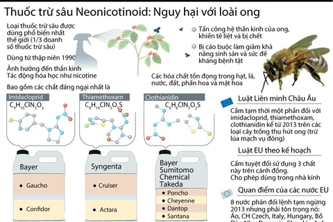 [Infographics] Thuốc trừ sâu neonicotinoid nguy hại tới loài ong