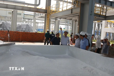 Đoàn Công tác kiểm tra thực tế khu vực phát tán bột alumin ra môi trường. (Ảnh: Hưng Thịnh/TTXVN)