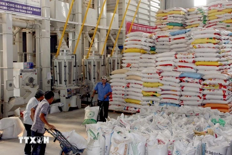 Chế biến gạo xuất khẩu tại Xí nghiệp Chế biến lương thực cao cấp Tân Túc (huyện Bình Chánh). (Ảnh: Đình Huệ/TTXVN)