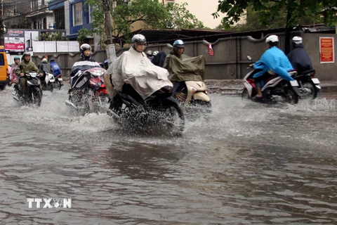 Ảnh chỉ có tính minh họa. (Ảnh: Tuấn Anh/TTXVN)