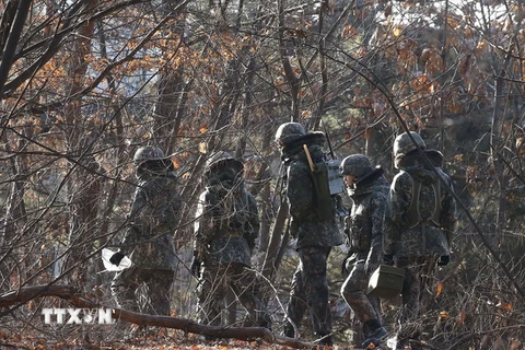 Binh sỹ Hàn Quốc tuần tra gần khu vực Paju, giáp biên giới liên Triều. (Nguồn: AFP/TTXVN)