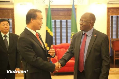Đại sứ Việt Nam tại Tanzania Nguyễn Kim Doanh trình Quốc thư lên Tổng thống Tanzania John Magufuli. (Ảnh: Mạnh Hùng/Vietnam+)