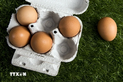 Trứng gà mua tại một siêu thị ở Paris, Pháp. (Nguồn: EPA/TTXVN)