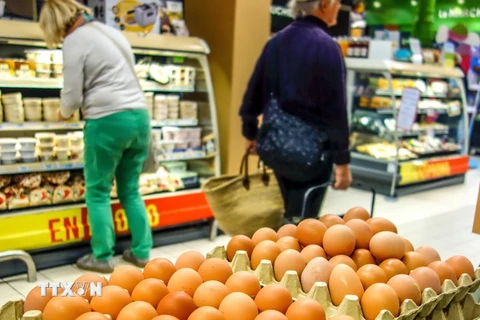 Trứng được bày bán tại Lille, Pháp. (Nguồn: AFP/TTXVN)