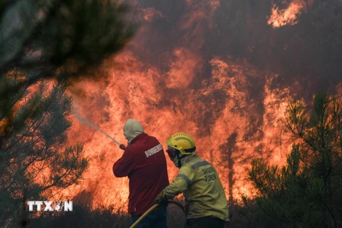 Nhân viên cứu hỏa nỗ lực dập tắt cháy rừng tại Macao thuộc khu vực Santarem, Bồ Đào Nha. (Nguồn: EPA/TTXVN)