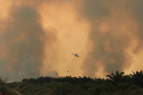 Trực thăng mang bom nước chữa cháy rừng. (Nguồn: AFP)