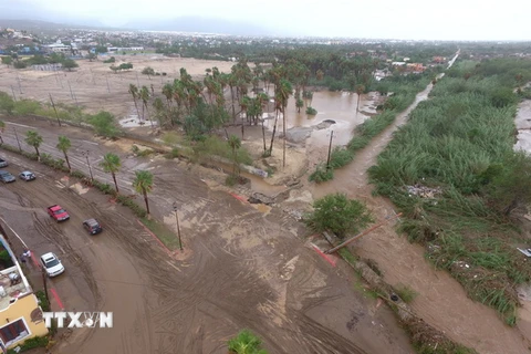 Cảnh hoang tàn sau bão Lidia ở bang Baja California Sur. (Nguồn: EPA/TTXVN)