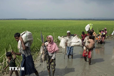 Người Myanmar ở bang Rakhine rời bỏ nhà cửa tránh xung đột tới khu vực biên giới gần thị trấn Teknaf, Bangladesh. (Nguồn: AFP/TTXVN)