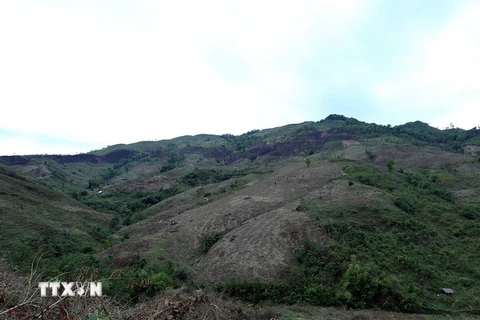 Những cánh rừng bị chặt phá tại xã Chung Chải. (Ảnh: Phan Tuấn Anh/TTXVN)