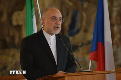 Người đứng đầu Tổ chức Năng lượng Nguyên tử Iran Ali Akbar Salehi. (Nguồn: AFP/TTXVN)