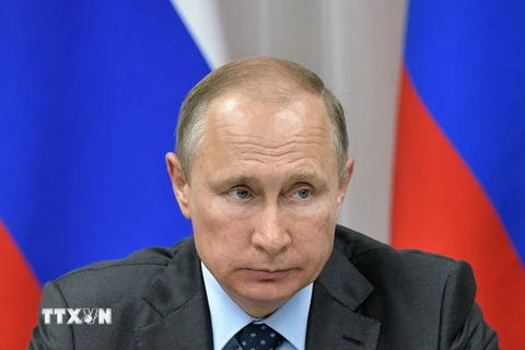 Tổng thống Nga Vladimir Putin trong cuộc họp ở Novobureisky, Nga. (Nguồn: EPA/TTXVN)