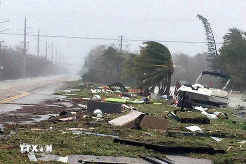 Cảnh ngổn ngang sau bão Irma ở Isamorada, bang Florida, Mỹ. (Nguồn: AFP/TTXVN)