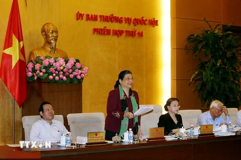 Phó Chủ tịch Quốc hội Tòng Thị Phóng phát biểu. (Ảnh: Nguyễn Dân/TTXVN)