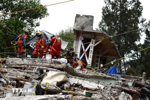 Lực lượng cứu hộ tìm kiếm nạn nhân sống sót trong đống đổ nát do động đất ở Mexico City. (Nguồn: AFP/TTXVN)