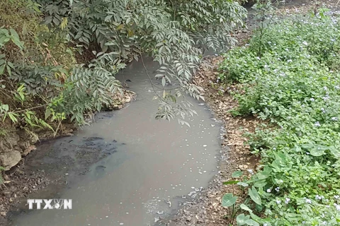 Dòng suối chảy qua địa phận xã Chu Trinh, thành phố Cao Bằng, bị ô nhiễm nghiêm trọng do Nhà máy tinh bột sắn xả thải. (Ảnh: Quân Trang/TTXVN)