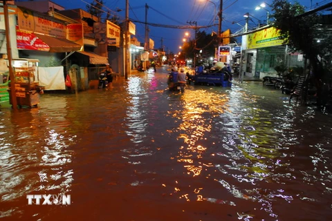 Triều cường gây ngập lụt tại huyện Nhà Bè. (Ảnh: Mạnh Linh/TTXVN)