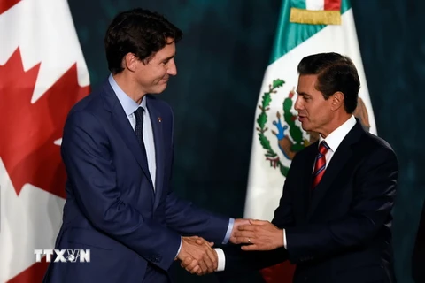 Tổng thống Mexico Enrique Pena Nieto (phải) và Thủ tướng Canada Justin Trudeau trong cuộc gặp tại Mexico City, Mexico. (Nguồn: AFP/TTXVN)